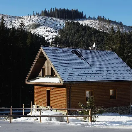 Apartament House Kongen Dolina Demianowska